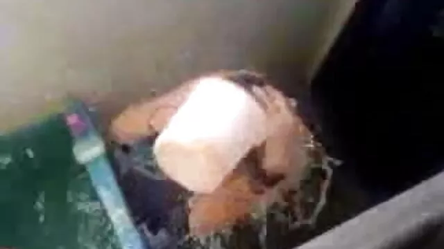 बीबीडब्ल्यू श्यामला घबराहट से अपने नए काले बाल दिखाते हैं और बीएचएम रेक्स बेहर के साथ छुट्टी ब्लू पिक्चर फुल सेक्स जयकार फैलाते हैं