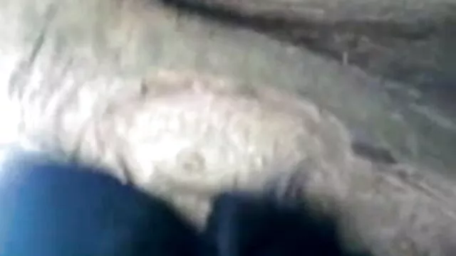 गर्म समलैंगिक तीन रास्ता तुम सह सेक्सी फुल मूवी एचडी कर!