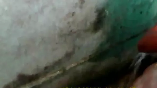 स्लिंकी जापानी बेब क्रीम भरवां बिल्ली भोजपुरी सेक्सी फिल्म फुल मूवी