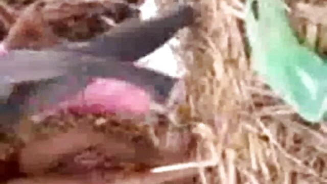 18 यो द्वारा गड़बड़ हो जाता है जब उसकी मालिश-गर्म सेक्सी फुल फिल्म एचडी