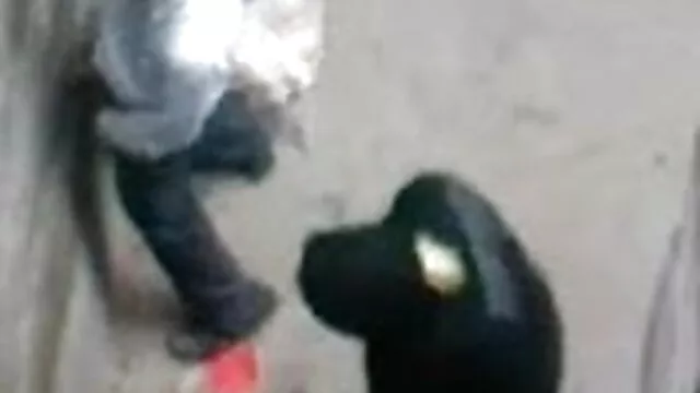 मो बाध्य है और हिंदी फुल सेक्सी मूवी उसके प्रेमी द्वारा गला घोट दिया