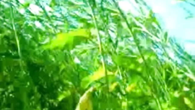 मार्टिना सेक्सी फिल्म फुल एचडी में गार्सिया छिपे हुए चेहरे