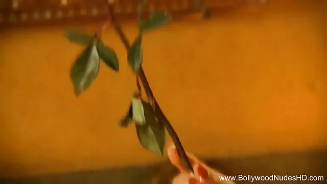 वास्तविकता दोस्तों-अपने रहस्य को सुलझाने के लिए जारी है जबकि मैक्स ब्लेयरवुड उसे पीछे से हिंदी फुल बीपी सेक्सी चोदता है