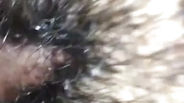 कार्यालय Shenanigans के साथ ब्लू सेक्सी वीडियो फुल