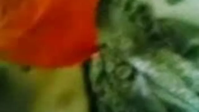 सही गधा लड़की फुल एचडी सेक्सी फिल्म बाथरूम में गड़बड़