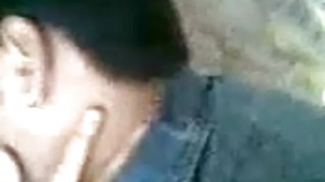 गधा अटक गया सेक्सी वीडियो फुल मूवी देखने वाला और बिल्ली गड़बड़
